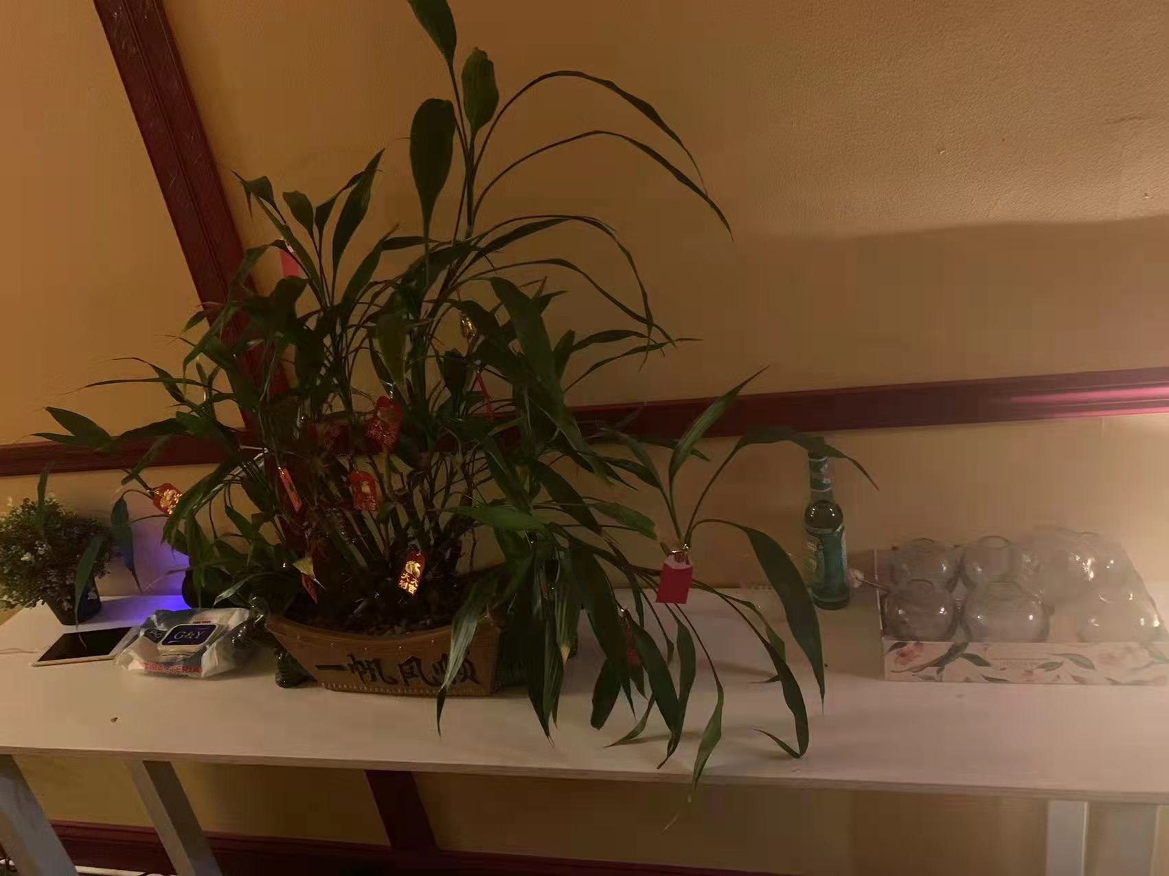 Shop Map-closter health foot spa